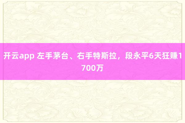 开云app 左手茅台、右手特斯拉，段永平6天狂赚1700万